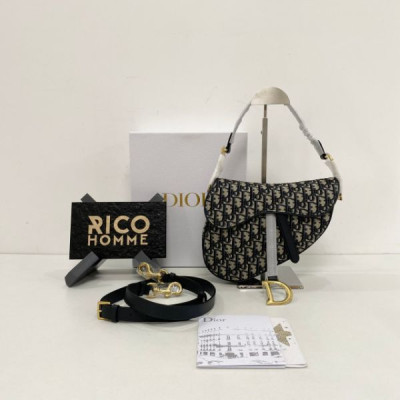 D올 새들백 (오블리크)