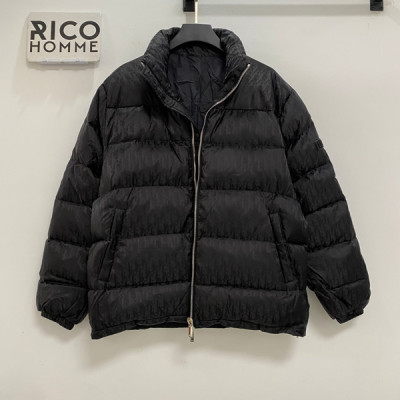 D올 오블리크 구스다운 패딩 (PREMIUM)